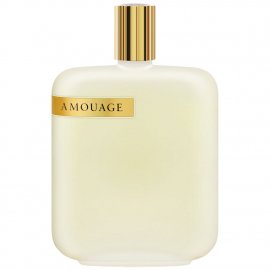 The Library Collection Amouage Opus I 33 