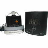 Black Opium 5729 