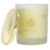 Amouage Candle Spicy 5003 