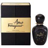 Amo Ferragamo Limited Edition 31310  31819