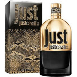 Just Cavalli Gold for Him 35112  49369