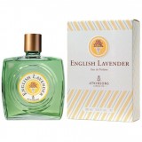 English Lavender 45179  50939